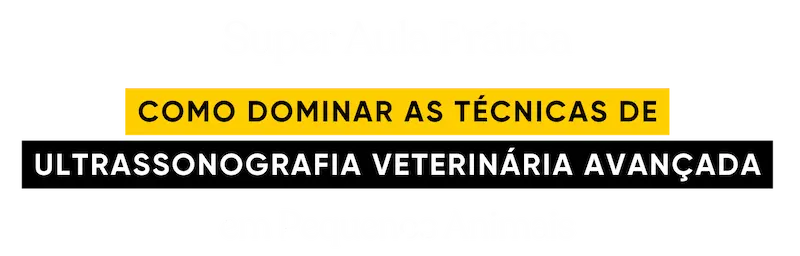 logo super aula fundo escuro (3)
