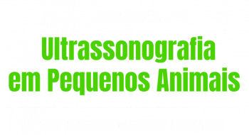 Jornada da Ultrassonografia (3)