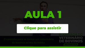 aula-1-disponivel