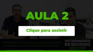 aula-2-disponivel