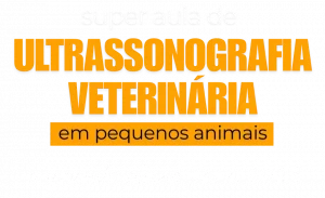 super aula marcelle